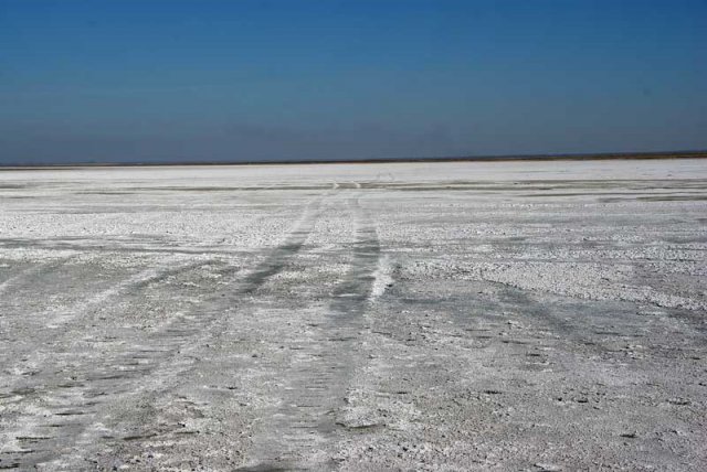 Фото омская область озеро эбейты омская